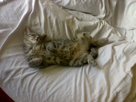 Sleeping Beauty