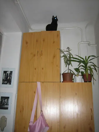 Cliffhanger